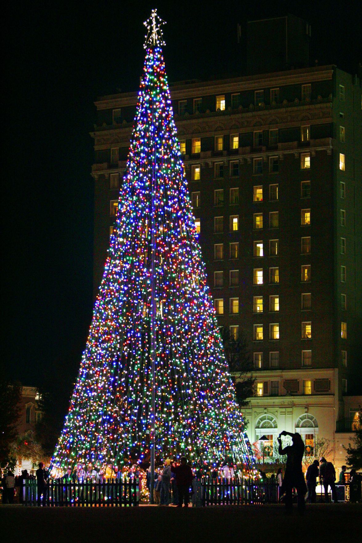 Christmas Tree Lighting in Marion Square (copy)